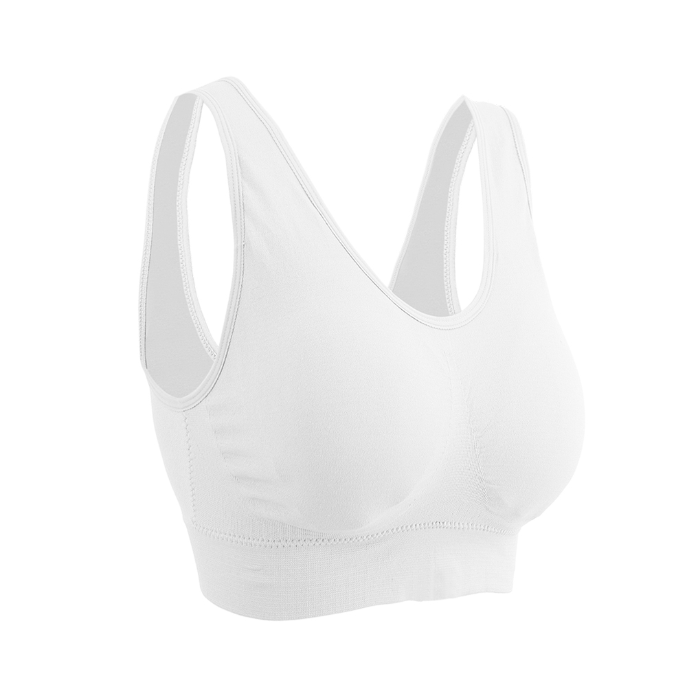 Valcatch 3 Pack Sports Bras for Women Seamless Wirefree Comfort Back  Smoothing Underwear with Pads Push up Bra Plus Size(White,XL)