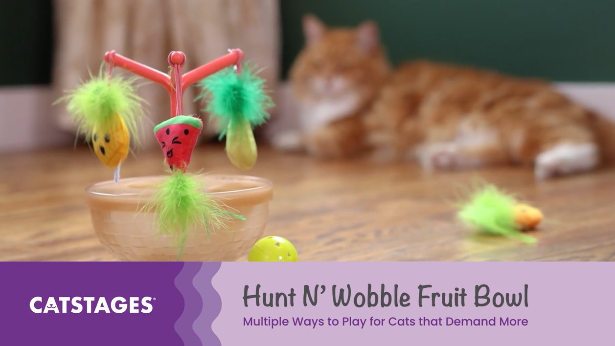 thumbnail video image 2 of Catstages Hunt N' Wobble Fruit Bowl Wobbling Cat Toy with Five Catnip Toys, Jingle Ball, and Flingers, Multicolored, 2 of 6