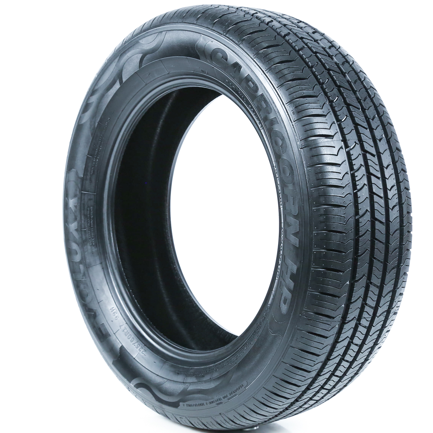 Evoluxx Capricorn HP All-Season Performance Tire, P225/60R17