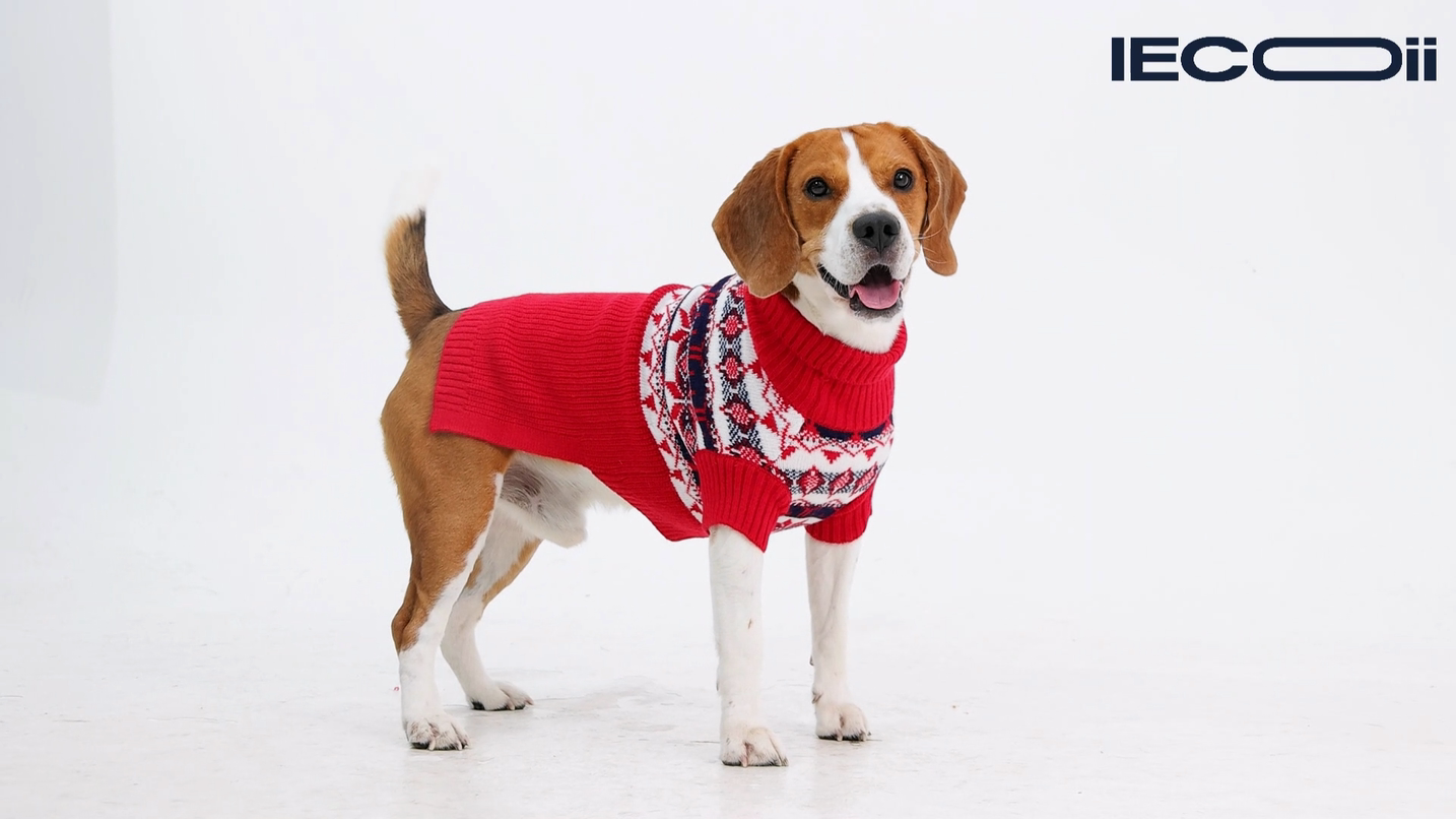 thumbnail video image 2 of IECOii Christmas Dog Sweater for Medium Large Extra Large Dogs Halloween Turtleneck Dog Sweatshirt Knitted Warm Pet Winter Clothes,Red,M, 2 of 8