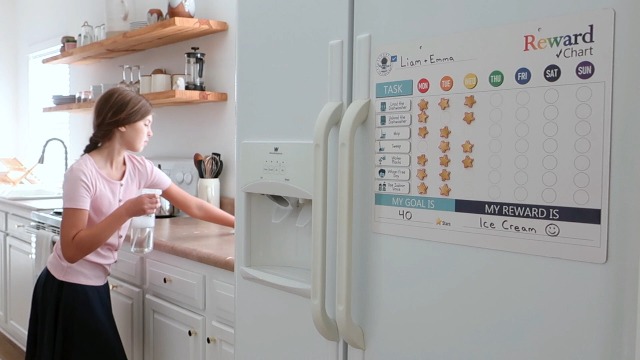 thumbnail video image 2 of Quokka Magnetic Behavior Chore Chart for Multiple Kids - Dry Erase - 2 Set Wall Chart, 2 of 7