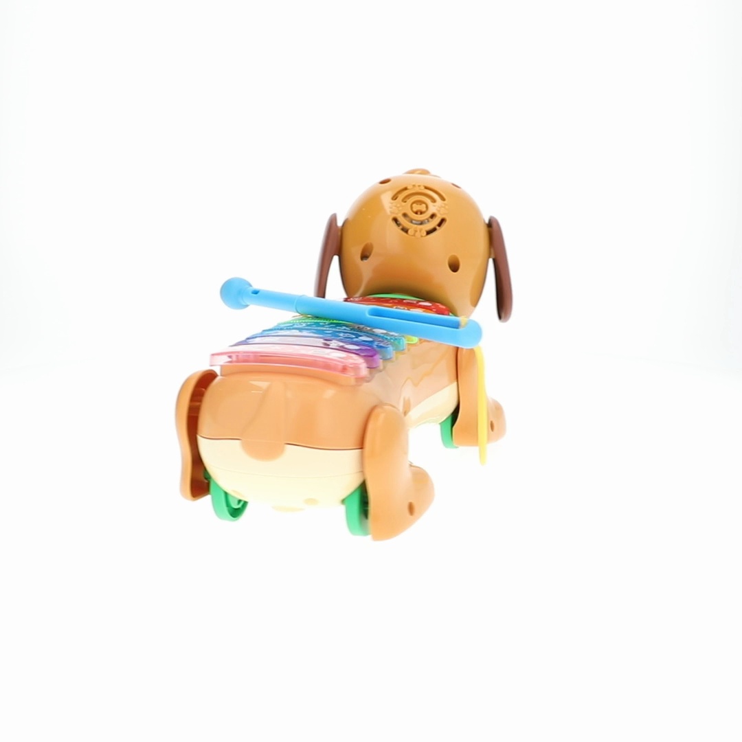 VTech Zoo Jamz Doggy Xylophone for Preschool Activities - Walmart