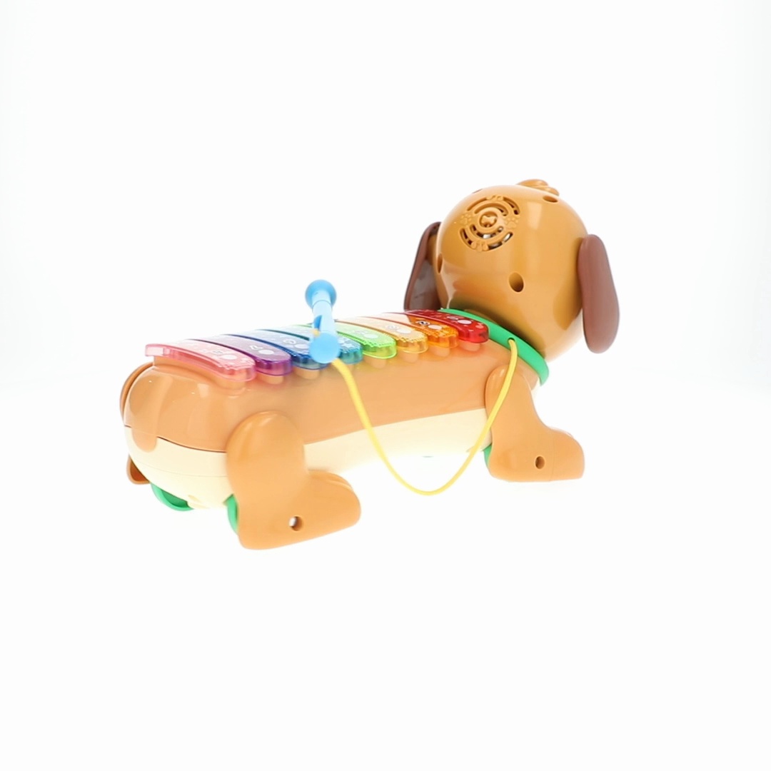 VTech Zoo Jamz Doggy Xylophone for Preschool Activities - Walmart