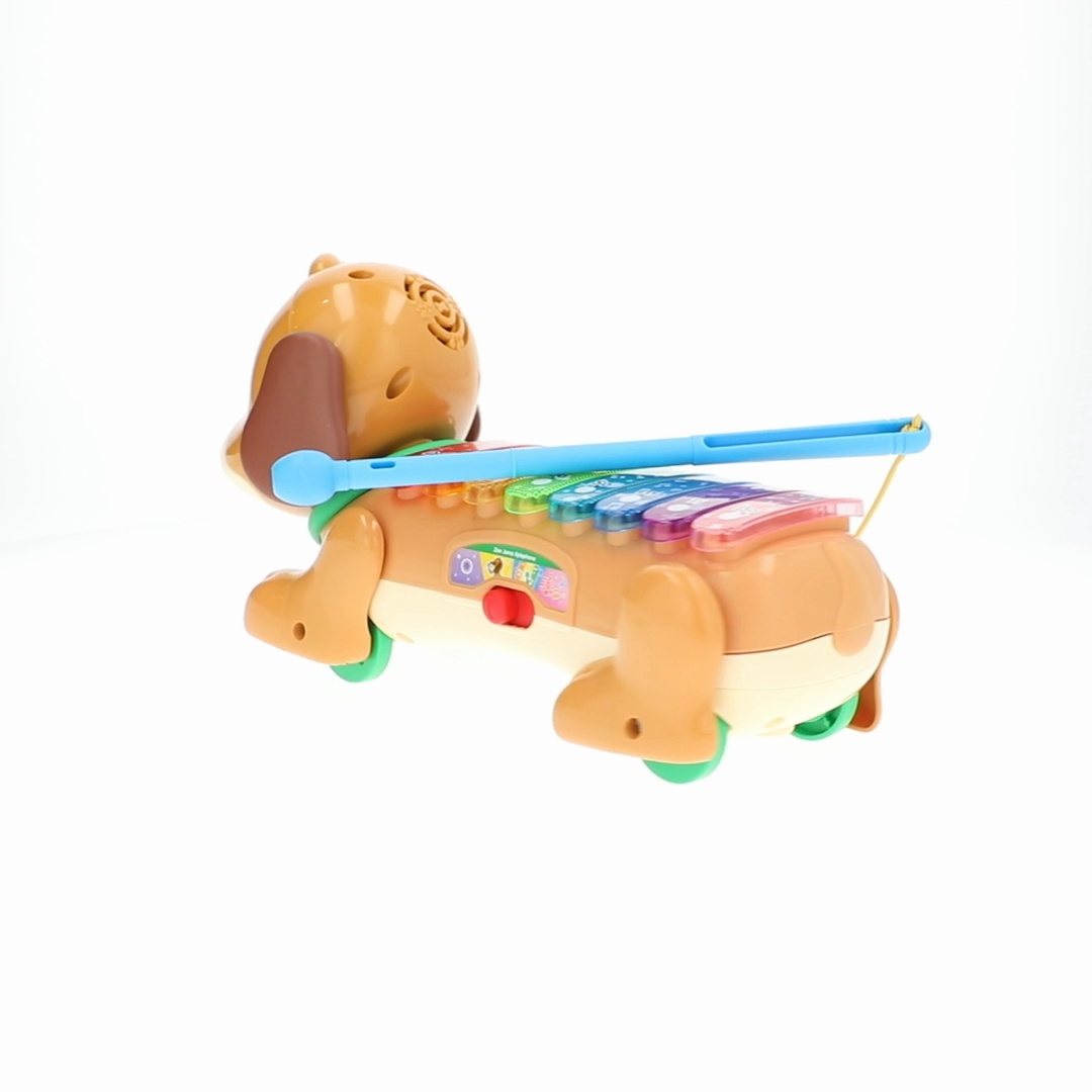 VTech, Zoo Jamz Doggy Xylophone, with Accessories, for Toddlers