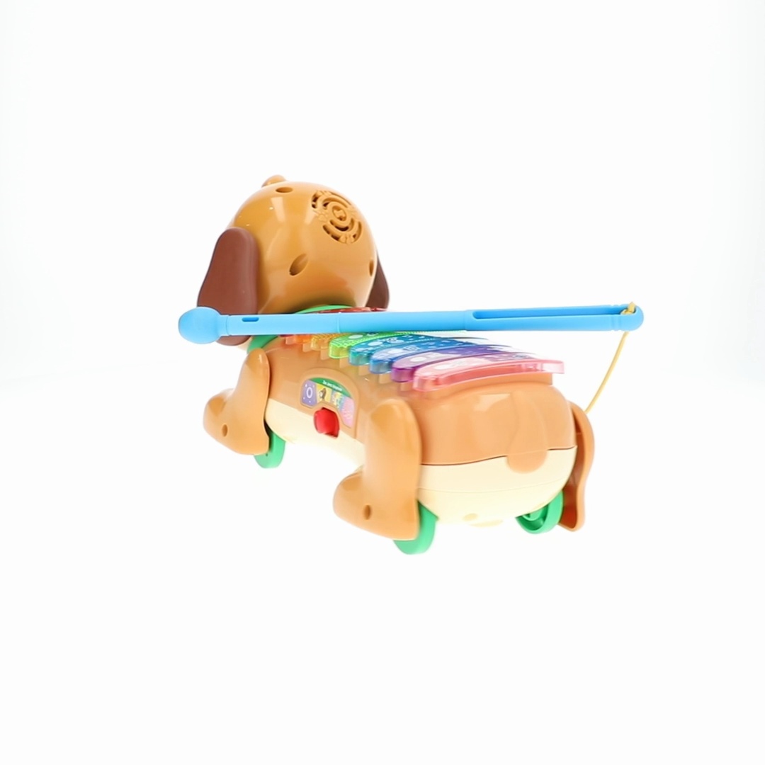 VTech Zoo Jamz Doggy Xylophone for Preschool Activities - Walmart