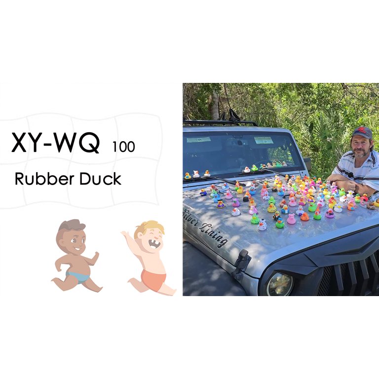 248 Pcs Duck Car Tag Kits Includes 48 Squeaky Rubber Duck...