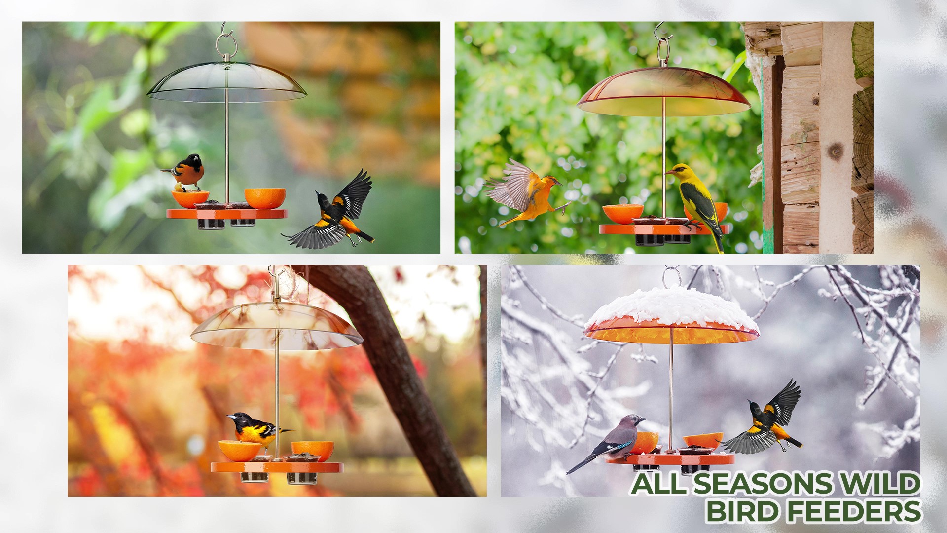 thumbnail video image 2 of Kingsyard Oriole Bird Feeder for Outside With Big Dome Orange Fruit, Jelly, Mealworm,Nectar, 2 of 7