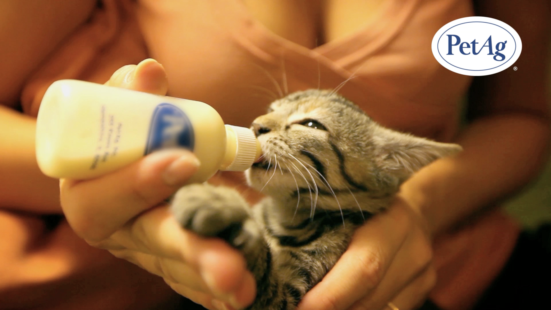 thumbnail video image 2 of Pet-Ag KMR 2nd Step Kitten Weaning Food - 14 oz, 2 of 6