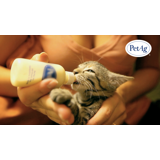 Piccardmeds4pets KMR Natural Milk Kitten Formula Replacer Powder for ...