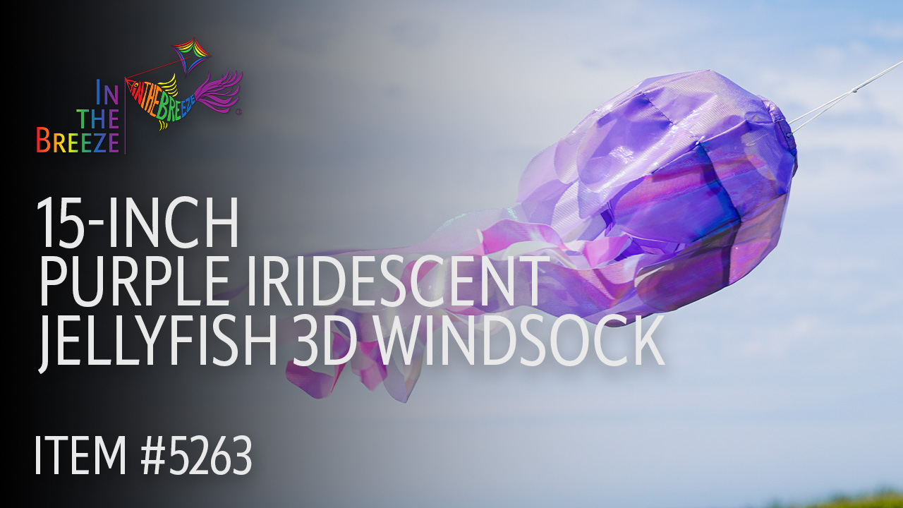 thumbnail video image 2 of In the Breeze 5263 — 18-inch Purple Iridescent Jellyfish 3D Windsock — Bright, Sparkling Marine Life Outdoor Decor, 2 of 6