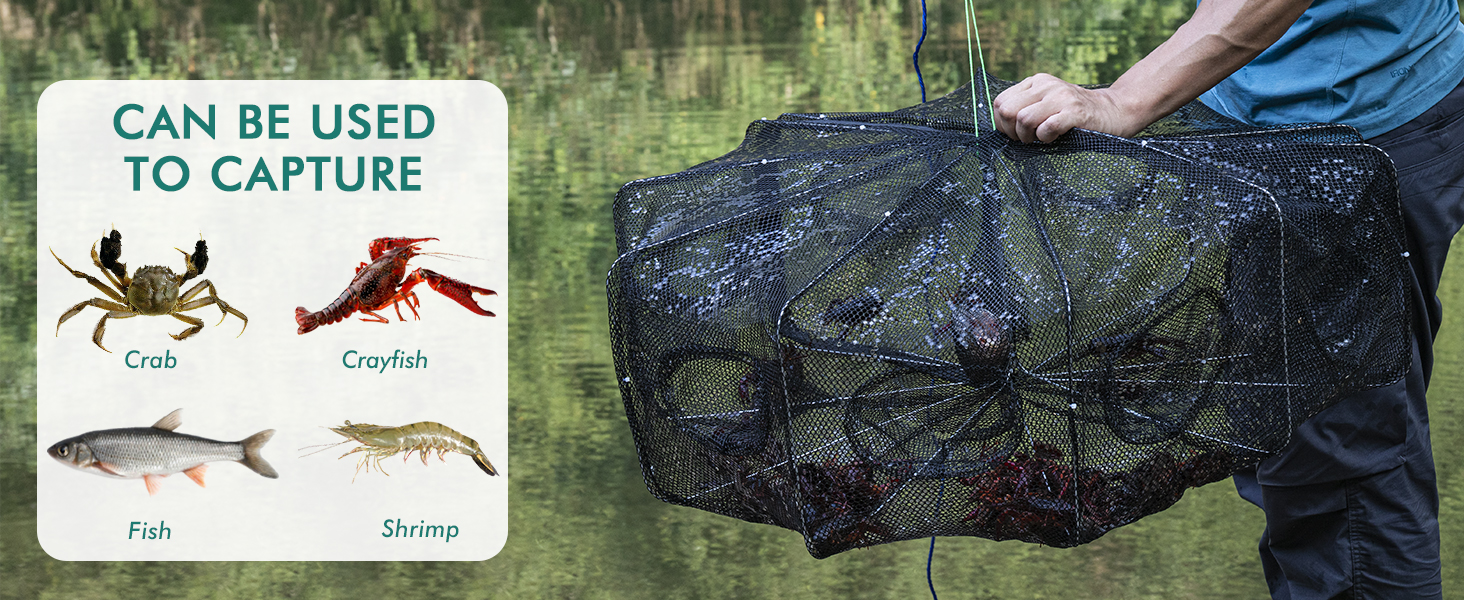 thumbnail video image 2 of QualyQualy Fishing Bait Trap Crab Net Fishing Trap for Minnow/Crab/Shrimp/Crawdad with Rope, 10 Holes Large Space Fishing Net, 2 of 8