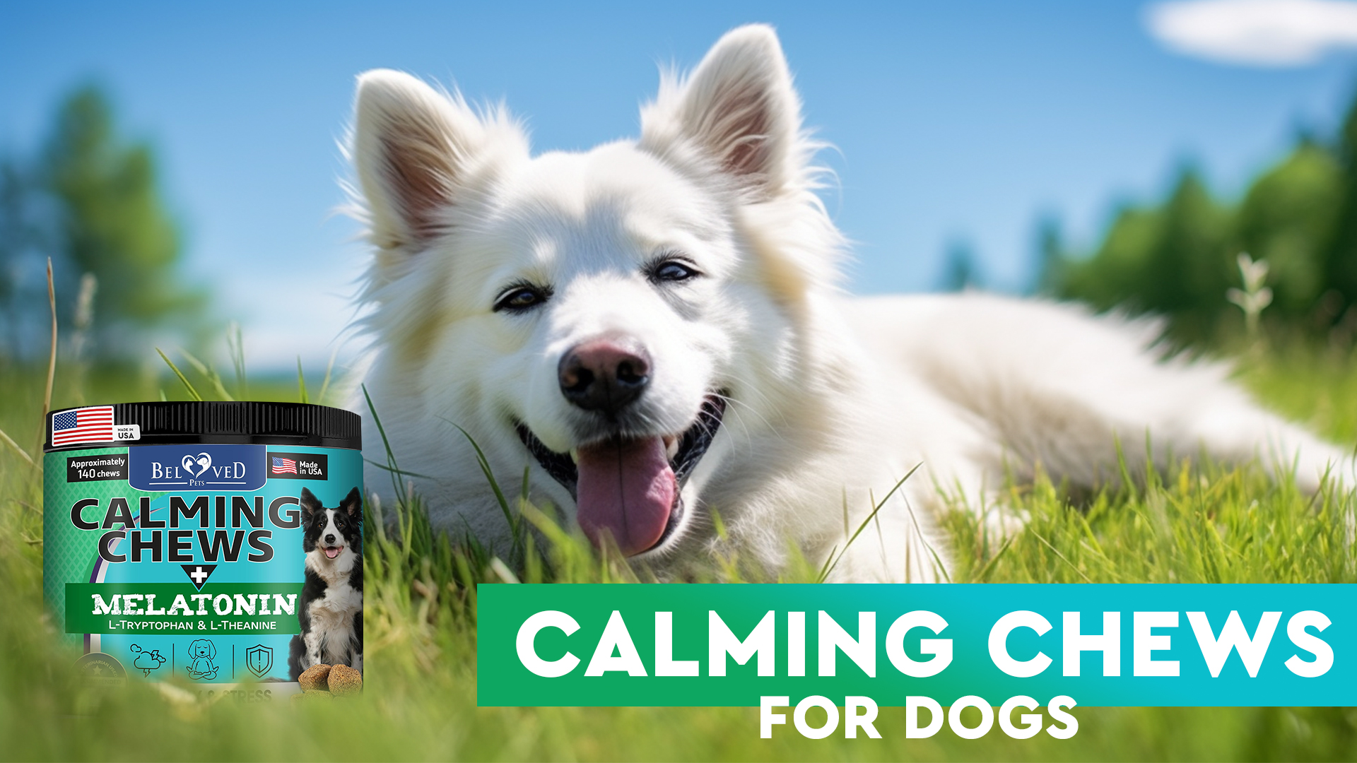 thumbnail video image 2 of Beloved Pets Calming Chews for Dogs – Melatonin Dog Treats for Anxiety Relief, Stress Support & Sleep Aid – Relaxing Supplement for Fireworks, Thunder, Travel & Barking – Natural Anti-Stress Dog Chew, 2 of 9