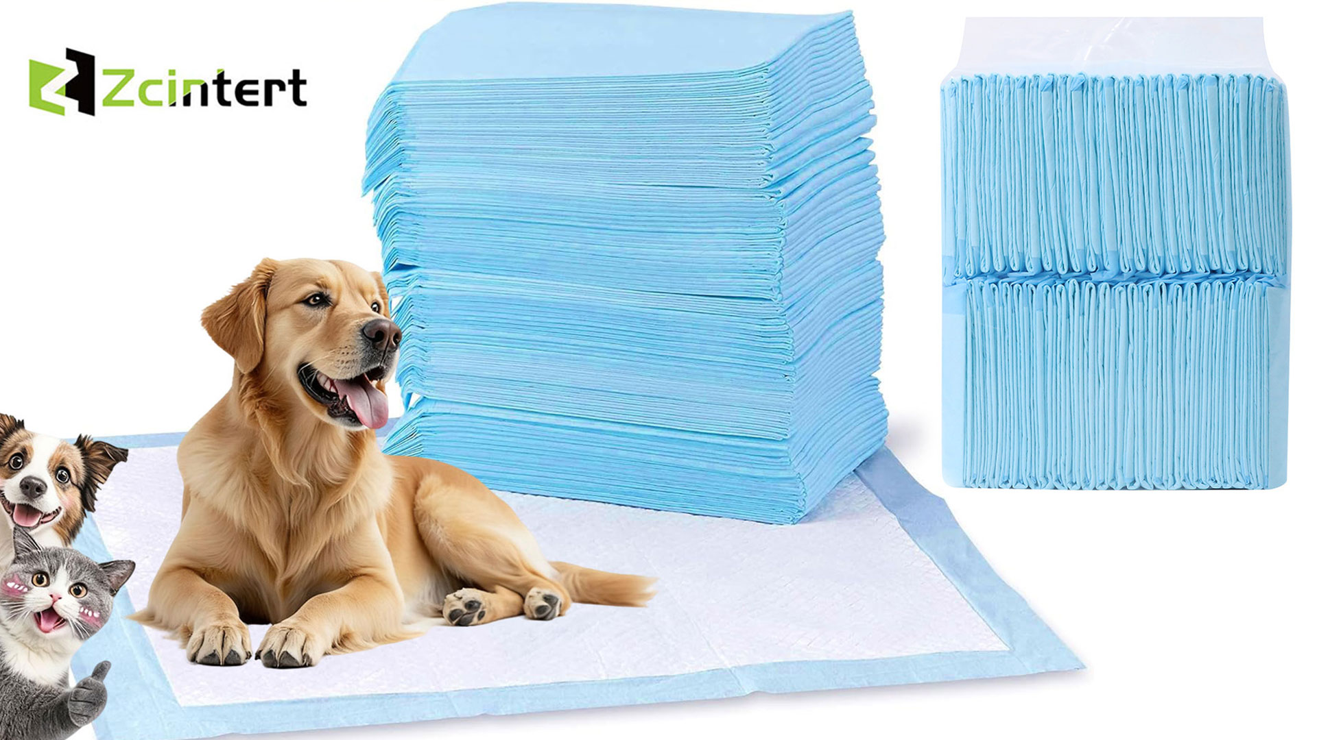 thumbnail video image 2 of Zcintert 20 Pack Puppy Training Pads | 23.62"x35.43" 5-Layer Leakproof Pet Pee Pad for Large Dogs, Cats & Rabbits Cage Liner, 2 of 14