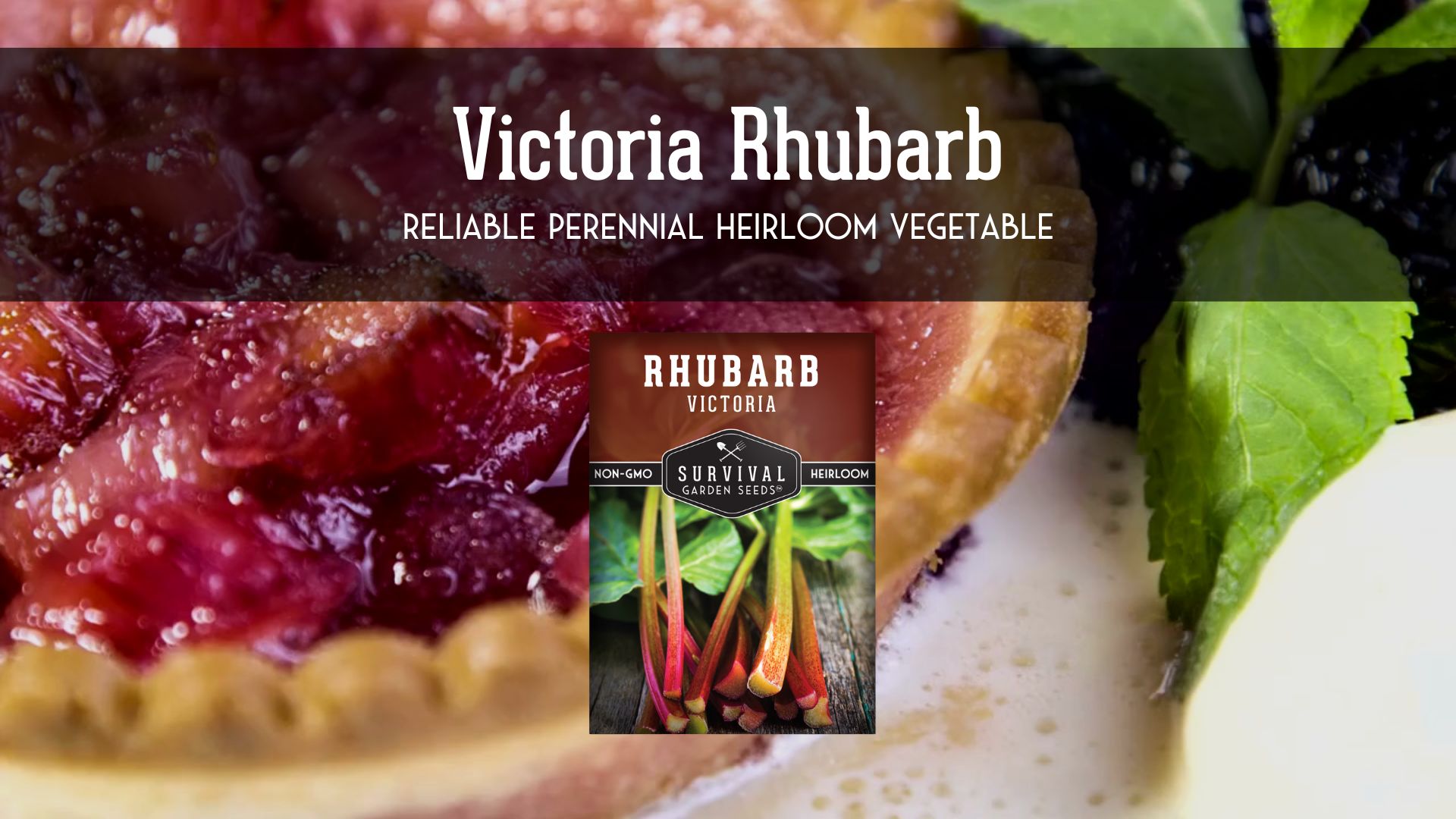 thumbnail video image 2 of 3 packs Victoria Rhubarb Seeds - Non-GMO Heirloom Full Sun Perennial Vegetable, 2 of 9
