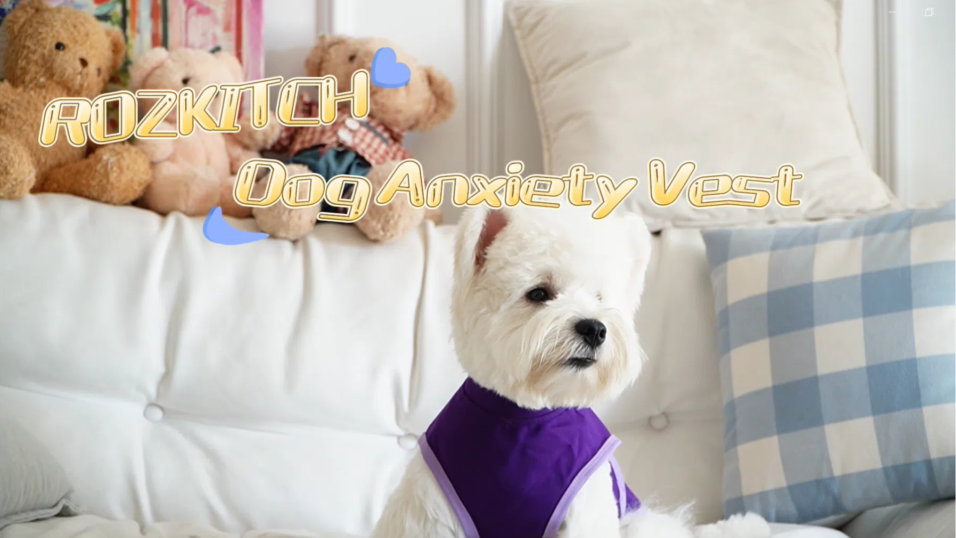 thumbnail video image 2 of ROZKITCH Soft Dog Anxiety Vest Comfort Dog Calming Vest Adjustable Dog Anxiety Relief Shirt for Thunderstorms Fireworks Vet Visits Separation(Blue), 2 of 9