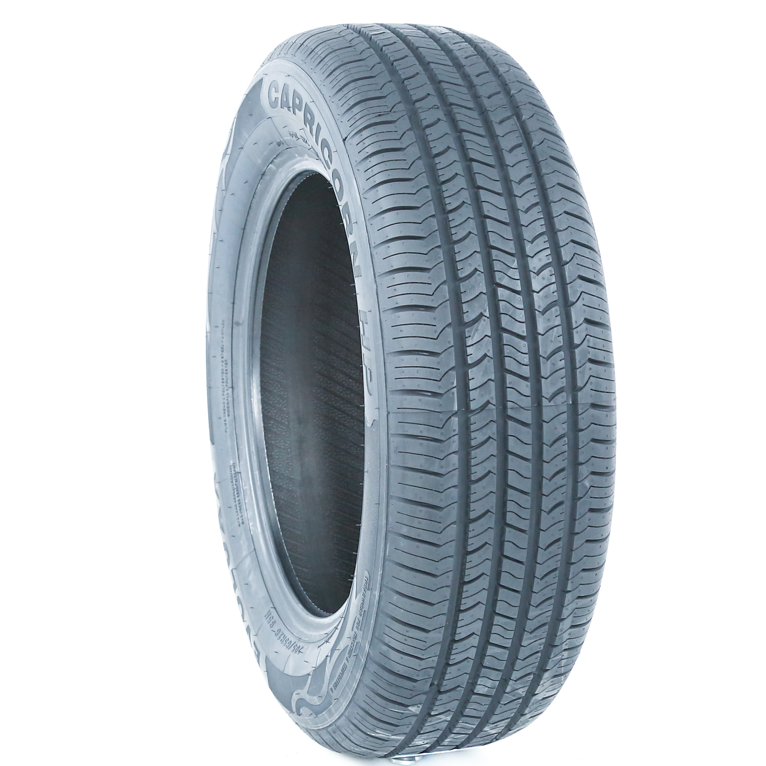Evoluxx Capricorn HP All Season Performance Tire 205/65R16 95H