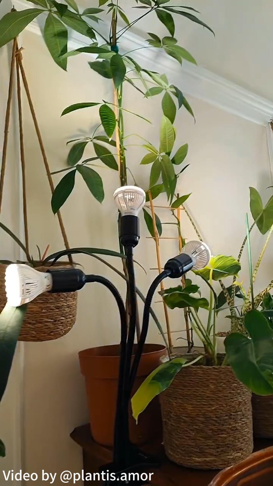 thumbnail video image 2 of SANSI 30W Full Spectrum LED Grow Light Bulb for Indoor Plants, 2 of 8