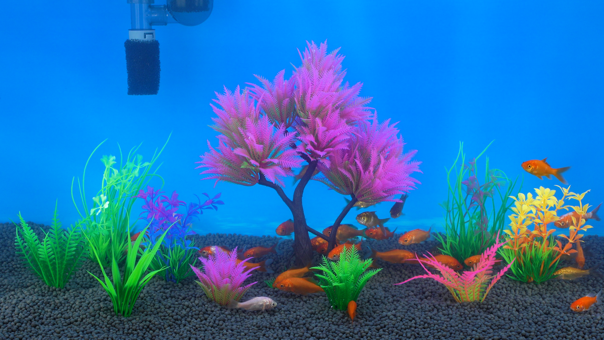 thumbnail video image 2 of Aquarium Plastic Plants Artificial Decorations Accessories, Small to Medium Fish Tank Fake Tree Plant Decor Ornaments (Pink), 2 of 10