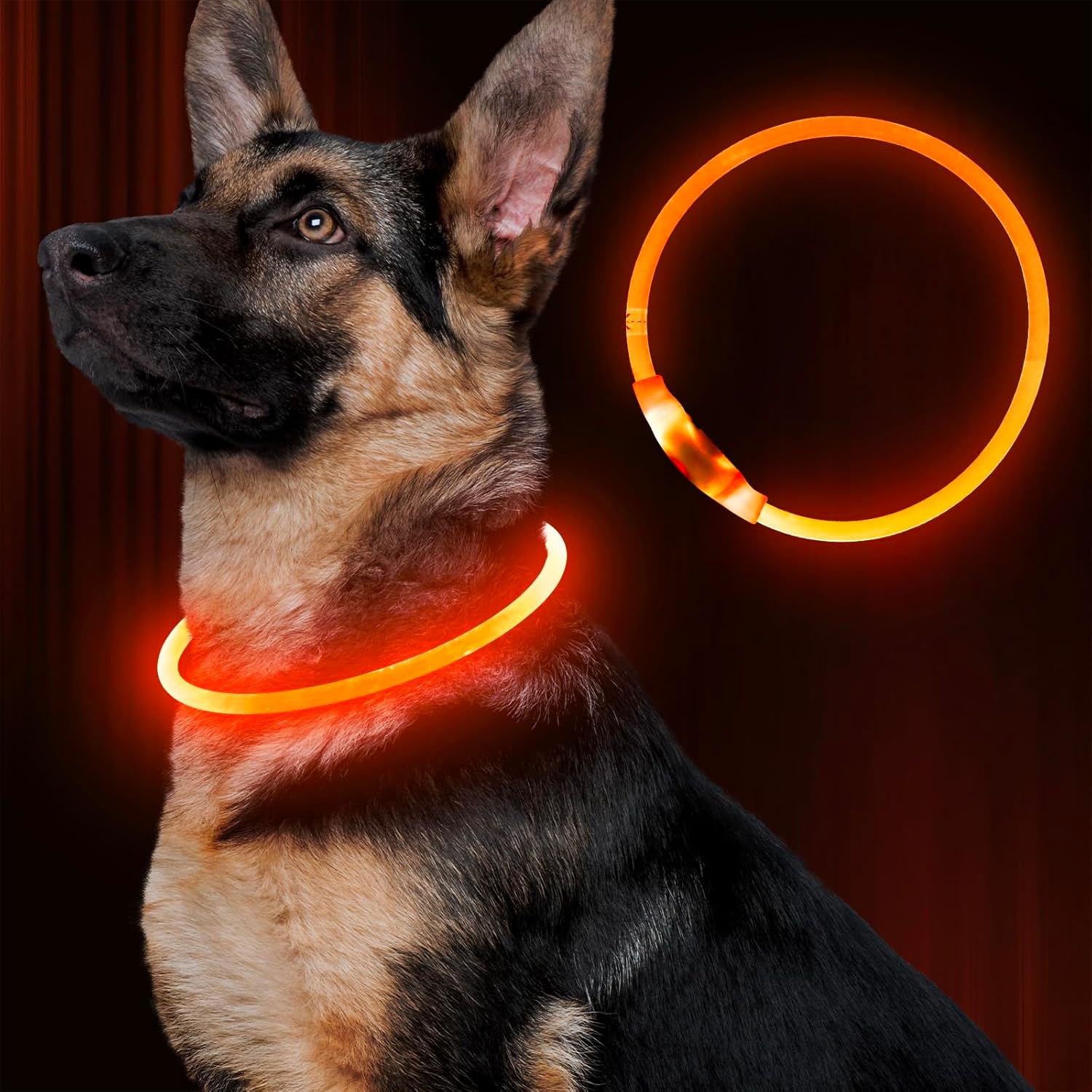 thumbnail video image 2 of EVERBETTERUS LED Dog Collar, Light Up Dog Collars,Rechargeable Dog Lights for Night Walking，Universal, Reusable Safety Necklace for Small Medium Large Dogs, 2 of 6