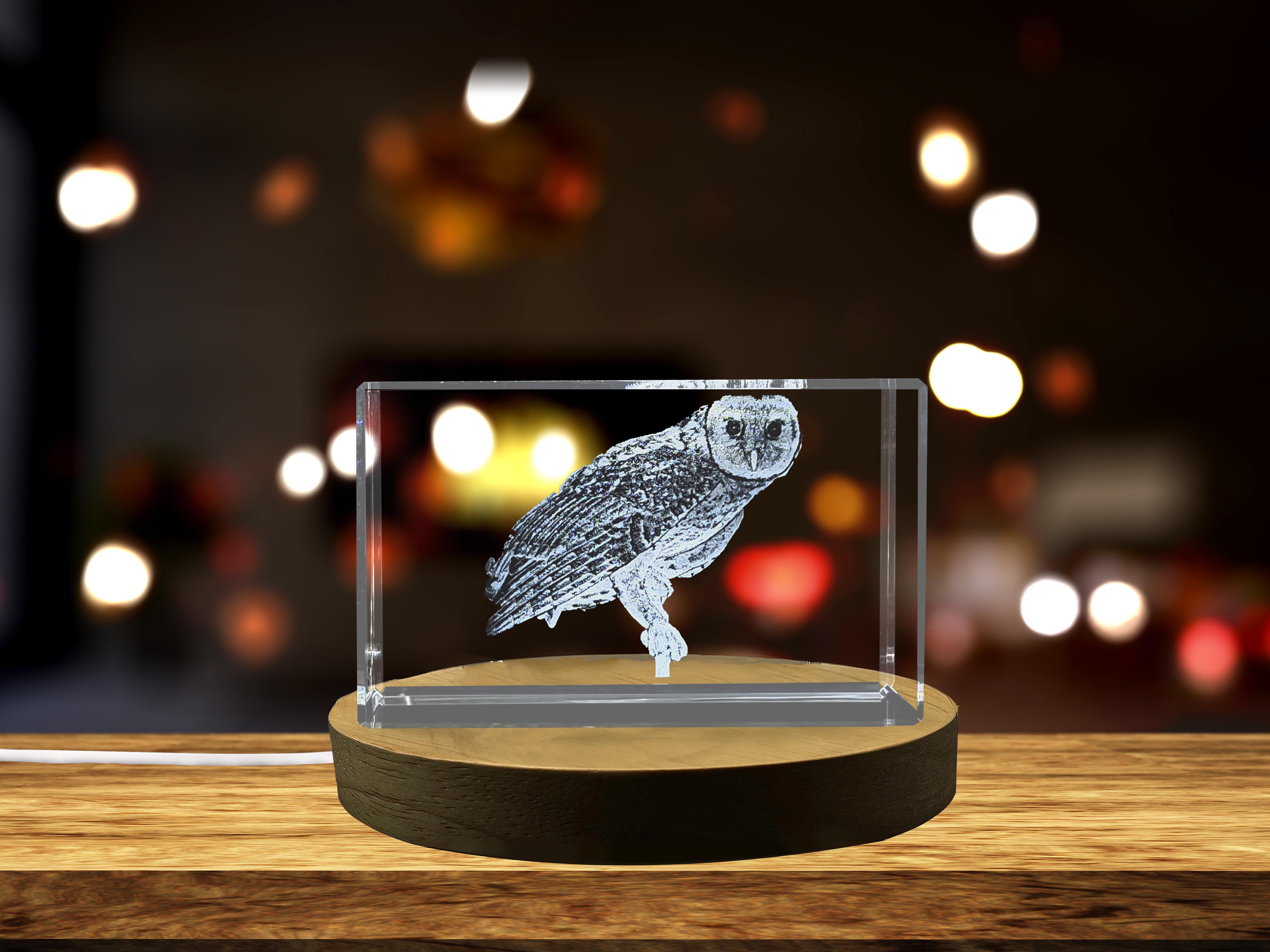 thumbnail video image 2 of Exquisite Australian Masked Owl Crystal Beautiful Gift, 2 of 7