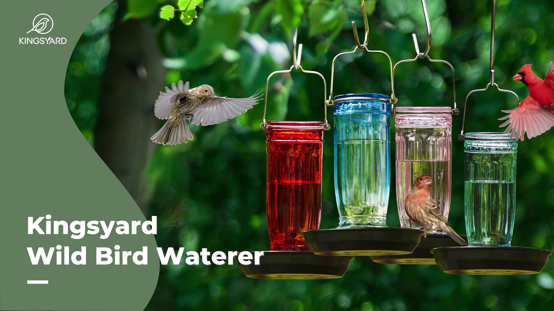 thumbnail video image 2 of Kingsyard Colorful Glass Water Bird Feeder Wild Bird Feeder for Outdoors Hanging Large Capacity, 2 of 8