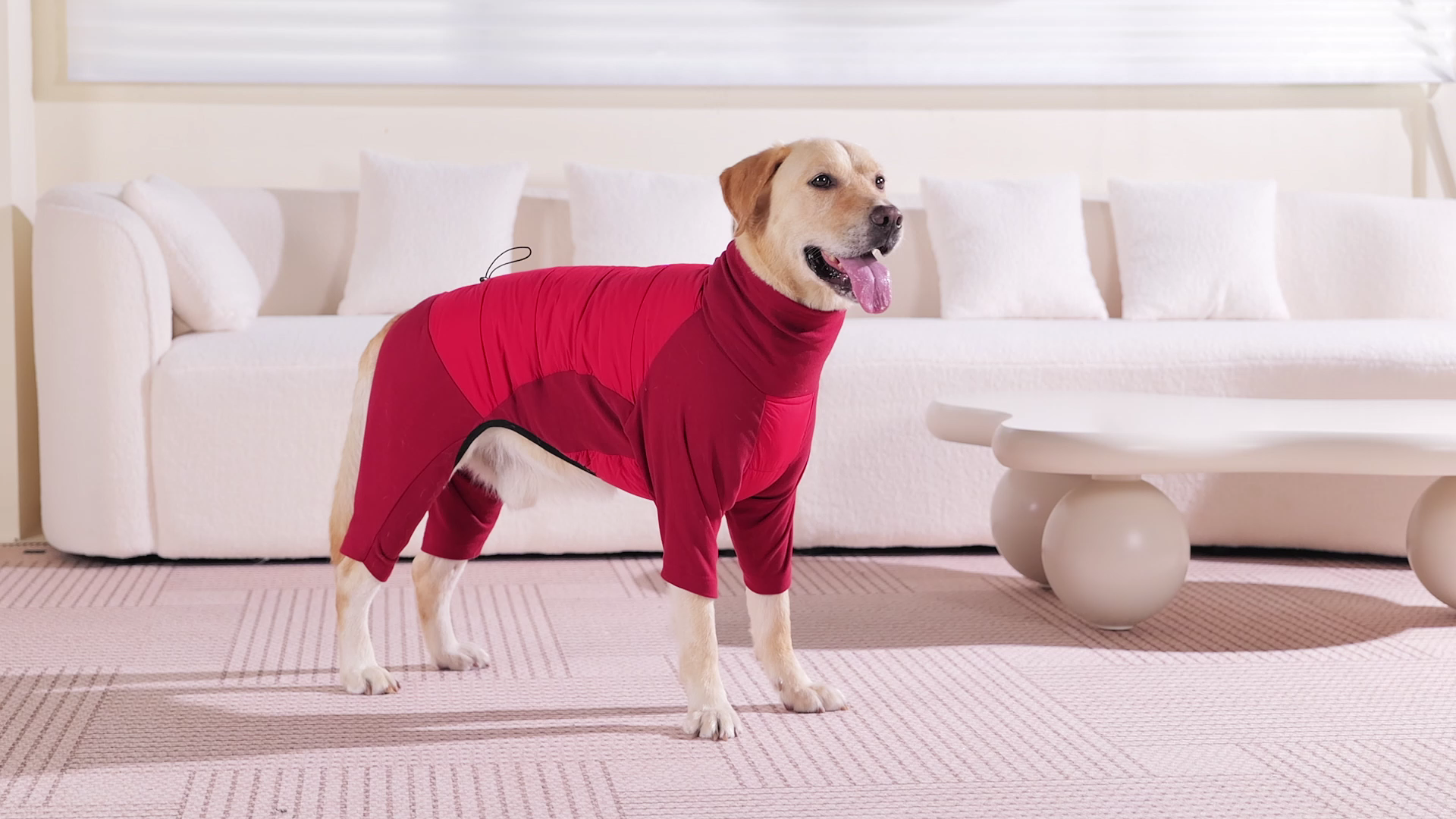 thumbnail video image 2 of ROZKITCH Warm Dog Winter Coat Windproof Adjustable Turtleneck Fleece Dog Jacket for Halloween and Christmas Pajamas for Medium Dogs Red XL, 2 of 8