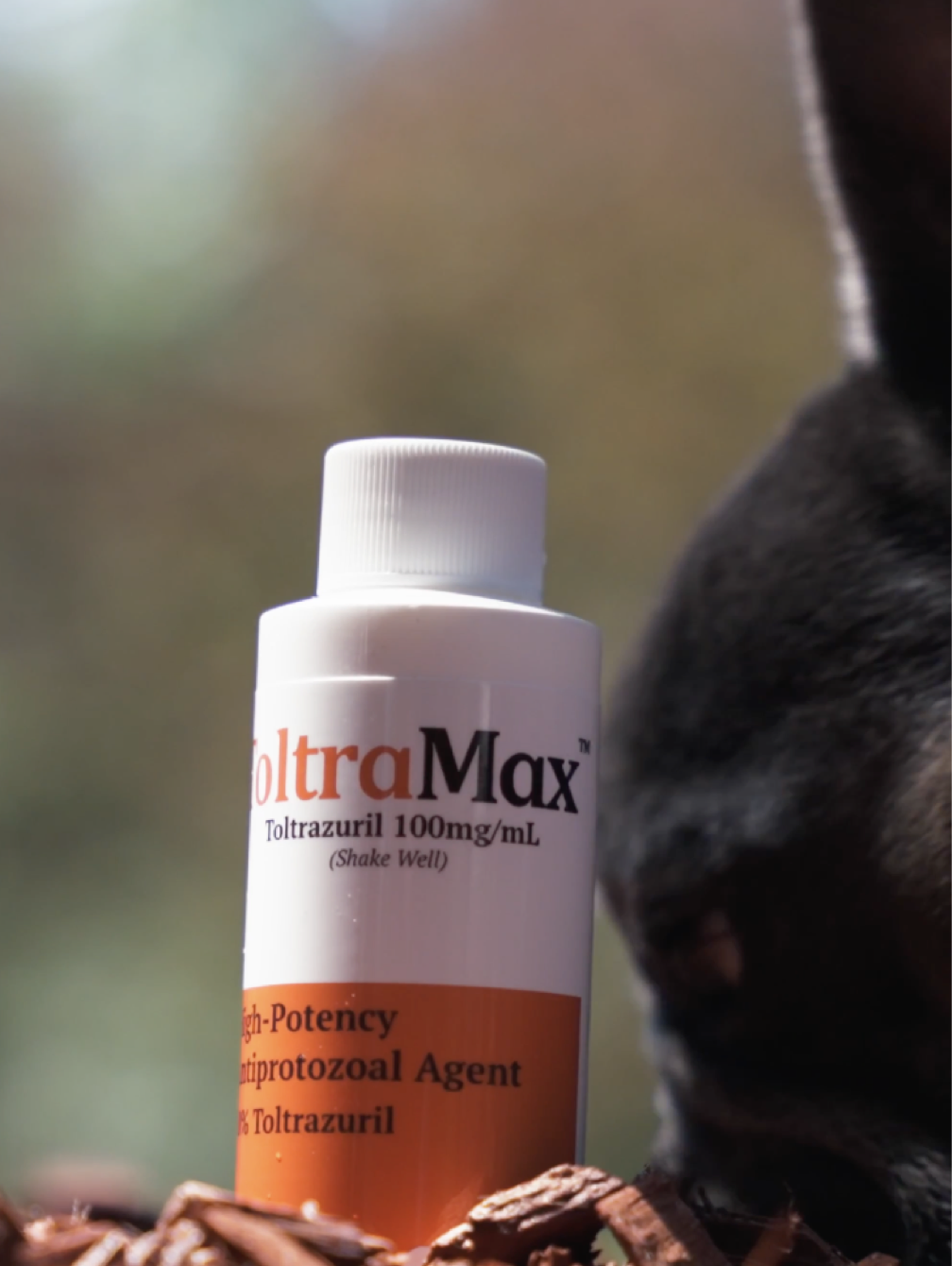 thumbnail video image 2 of ToltraMax 10.0% for Horses, Dogs, Cats, 240mL/8.1 Ounce, for Non-Food Chain Animals, Peanut Butter, 2 of 8