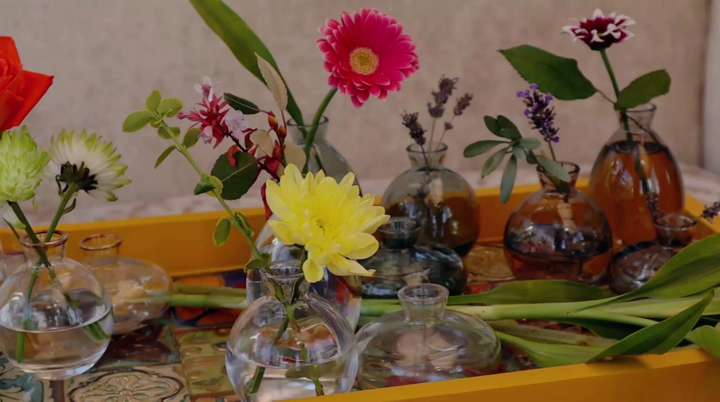 thumbnail video image 2 of Glasseam Mini Bud Vases for Flowers Set of 12 Green Small Glass Vase Ideal for Small Flowers and Centerpieces, 2 of 8