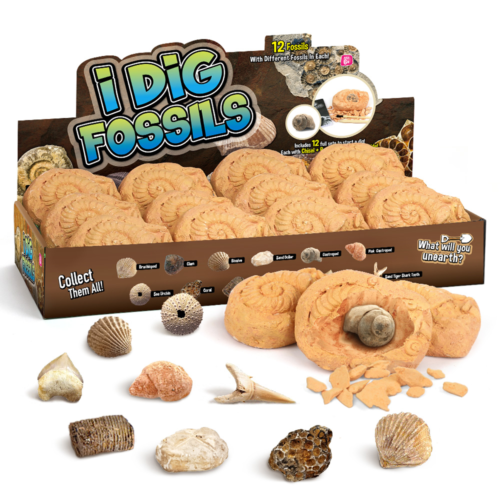 thumbnail video image 2 of Piano Potato Fossil Dig Kit for Kids 6+ - 12-Piece Ancient Specimens Dig Up - Educational STEM Science Toys - Fossils Digging STEM Toys - Digging Toys - Dig Game for Ages 6-12, 2 of 10