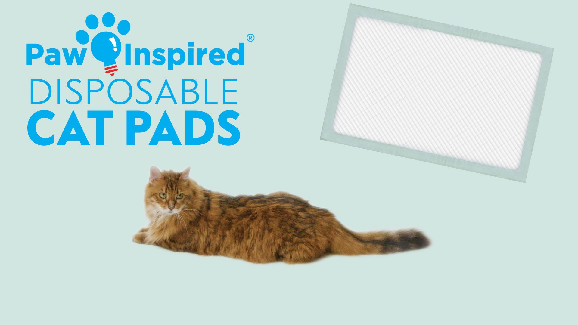 Free Shipping! 80ct Paw Inspired Cat Pads | Generic Refill for Breeze Tidy  Cat Litter System | Cat Liner Pads for Litter Box | Quick-Dry, Super  Absorbent, Leak Proof | 16.9\, image size:1920x1080