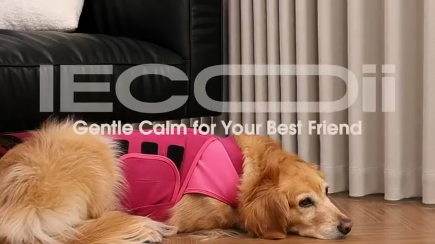thumbnail video image 2 of IECOii Dog Anxiety Vest Adjustable Dog Calming Shirt for Medium Dogs Anxiety Relief for 4th of July Firework Thunder Separation Anxiety Travel Vet Visit, Pink, L, 2 of 8