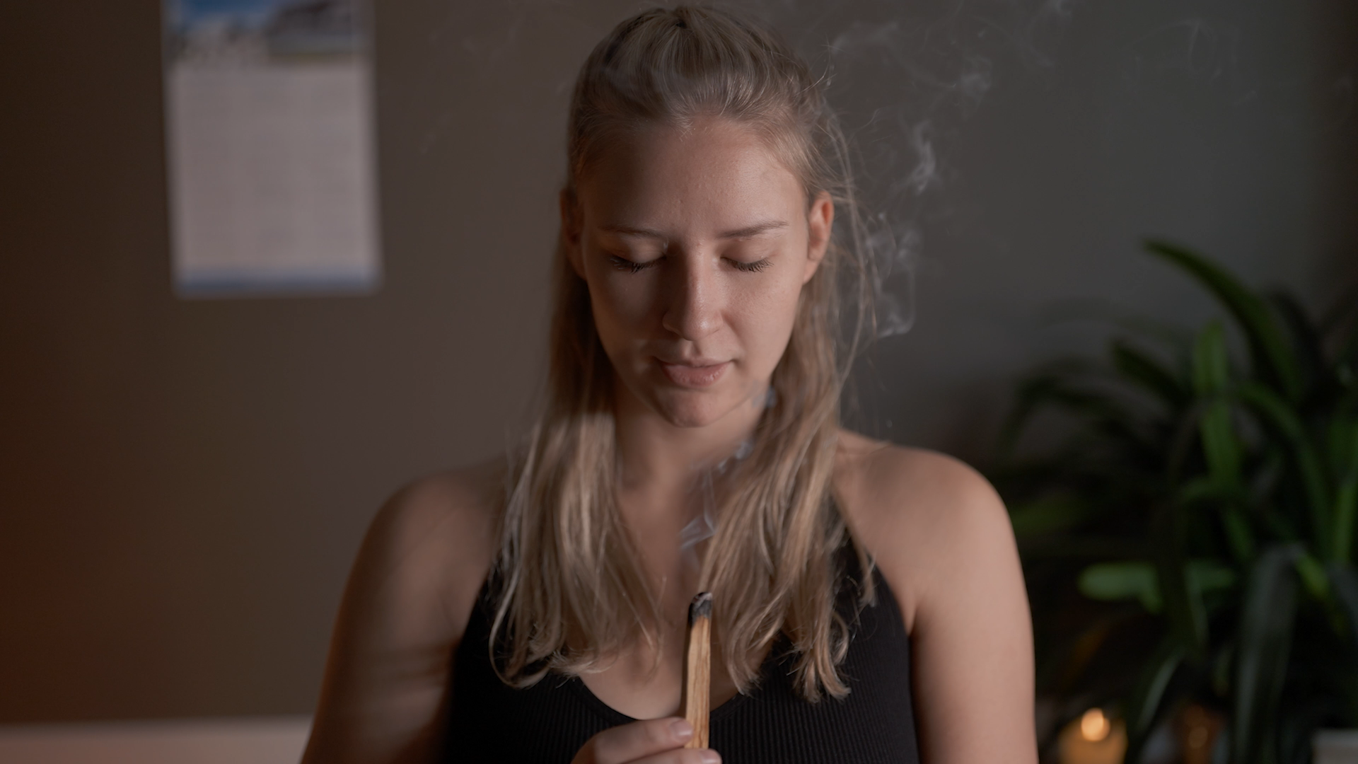 thumbnail video image 2 of Palo Santo Sticks from Peru 20 Sticks, Large Pack - 100% Natural Spiritual Cleansing Palo Santo Smudge Sticks, Sustainably Hand Picked, 2 of 10