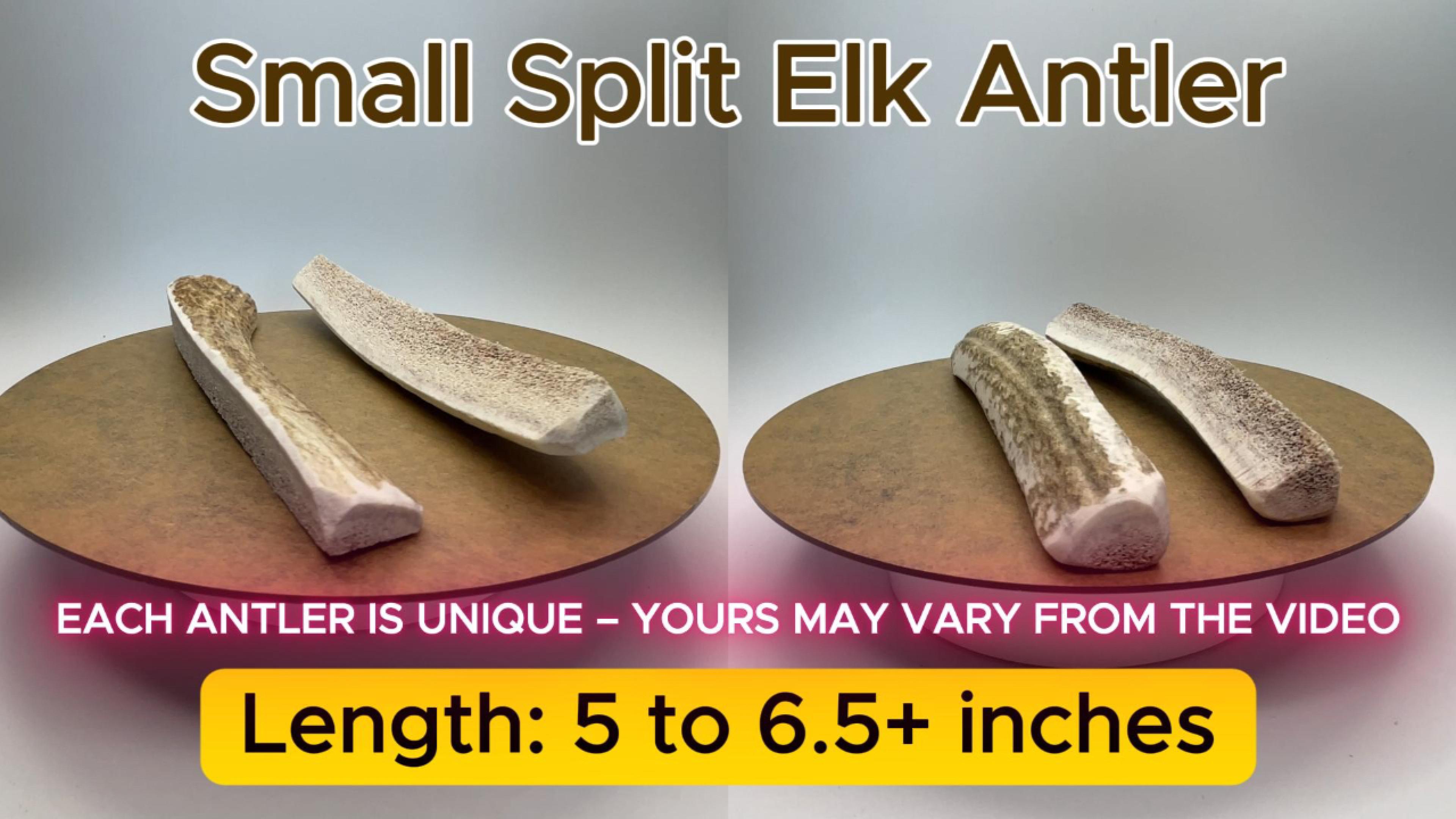 thumbnail video image 2 of Deluxe Naturals 4-Pack Small Split Elk Antler Dog Chews, Naturally Shed A-Grade Elk Antler Treat for Toy and Small Dogs (Up to 15 lbs), 2 of 10