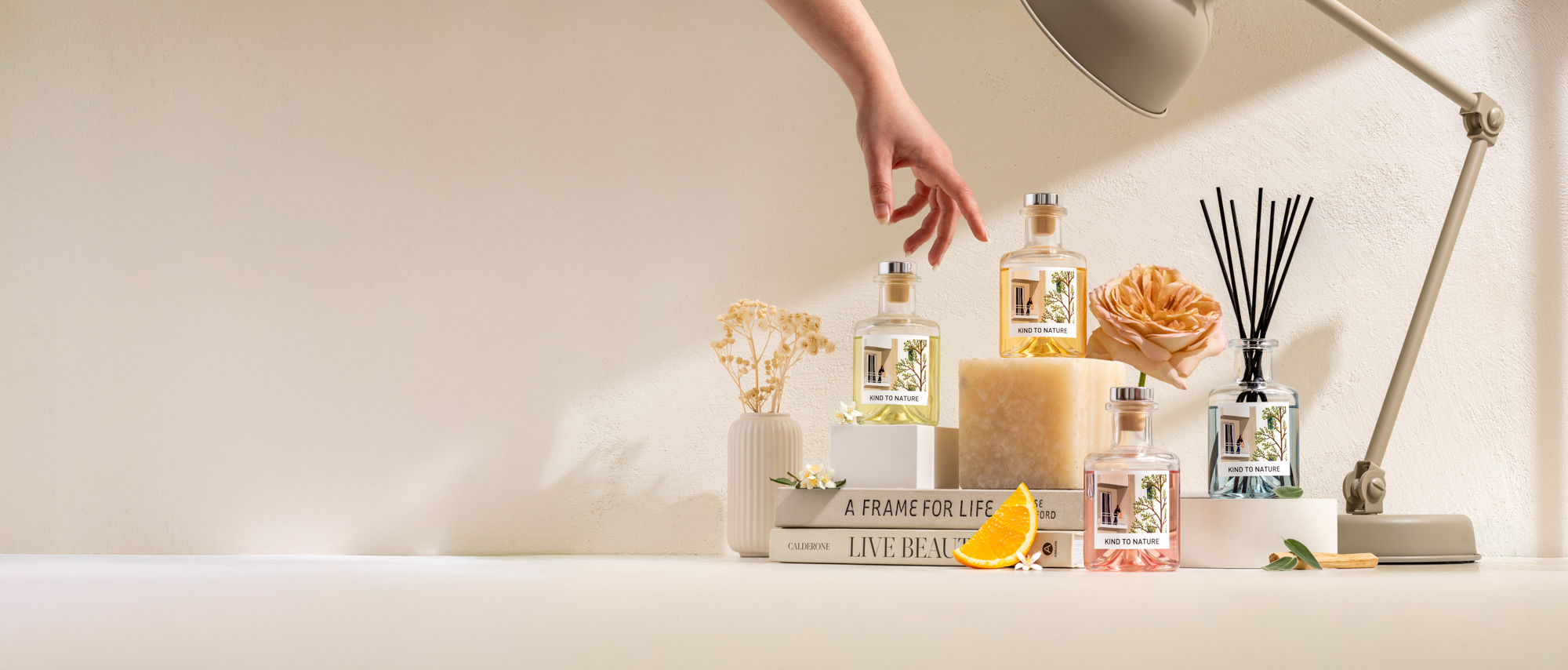 thumbnail video image 2 of Elle Cadeaux Reed Diffuser, Wood Sage & Sea Salt, Clean Coastal Scent, 6oz, 1lb, 2 of 7