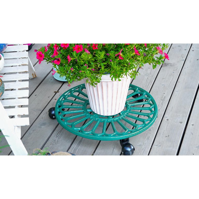 green money plant images Buy Lush Green Money Plant