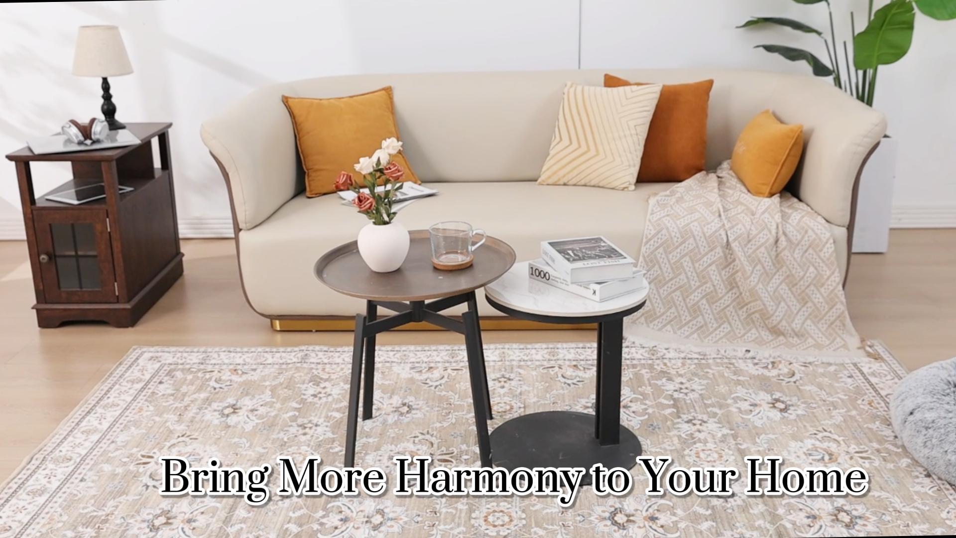 thumbnail video image 2 of LOKHOM 5'x 8' Bohemian Area Rugs for Living Room, Non-Slip Backing Machine Washable Carpet, Brown, 2 of 9