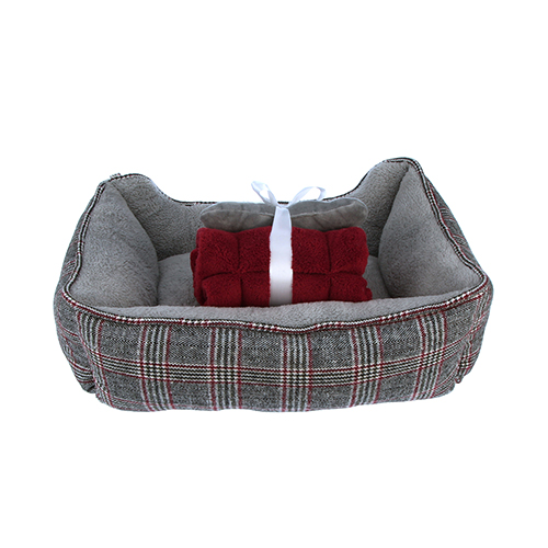 Ellen degeneres dog bed best sale