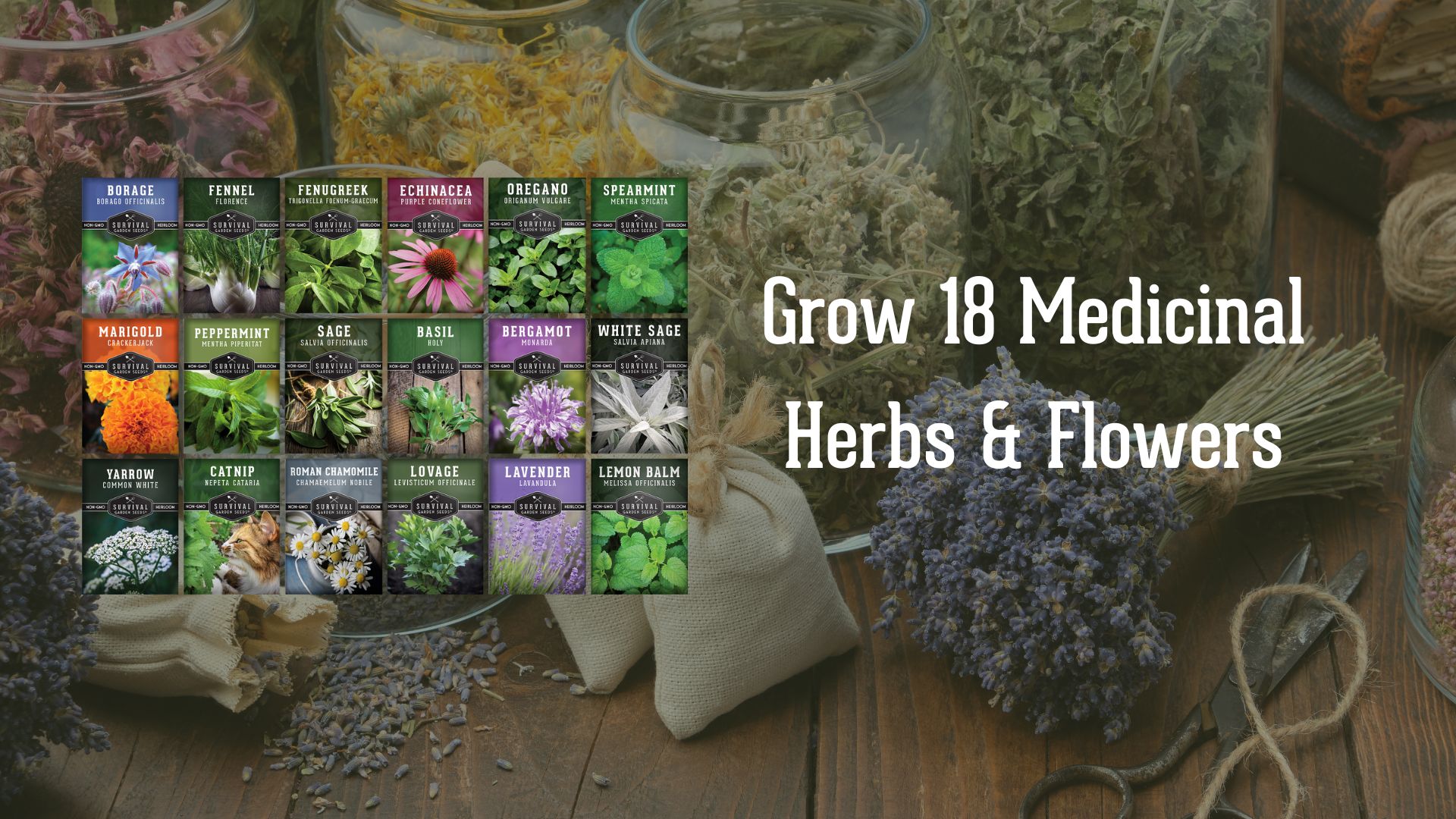 thumbnail video image 2 of 18 Pack Medicinal Herb Seed Collection - Non-GMO Heirloom Full Sun Perennial & Annual, 2 of 9