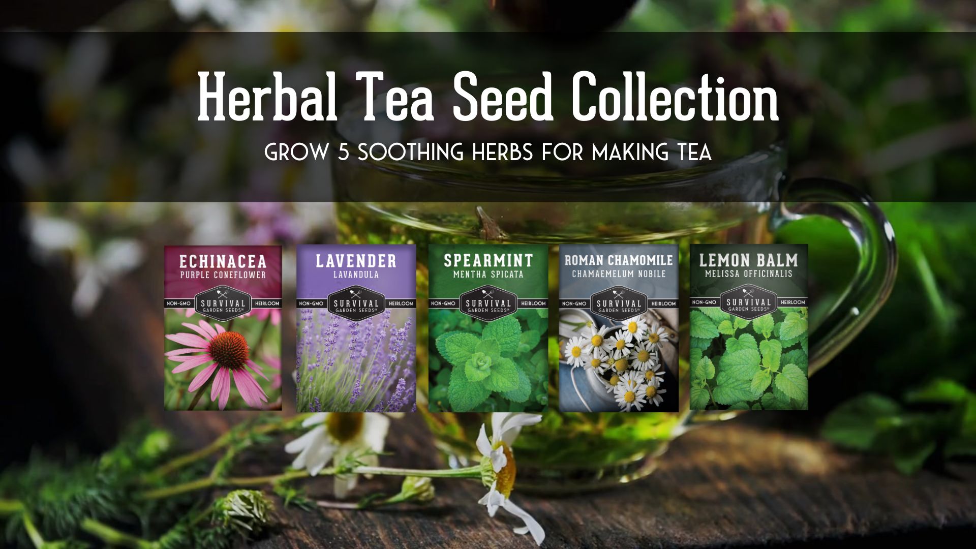 thumbnail video image 2 of Herbal Tea Seeds 5 Pack - Lavender, Mint, Echinacea, Lemon Balm, Chamomile - Full Sun Perennial Herb, 2 of 7