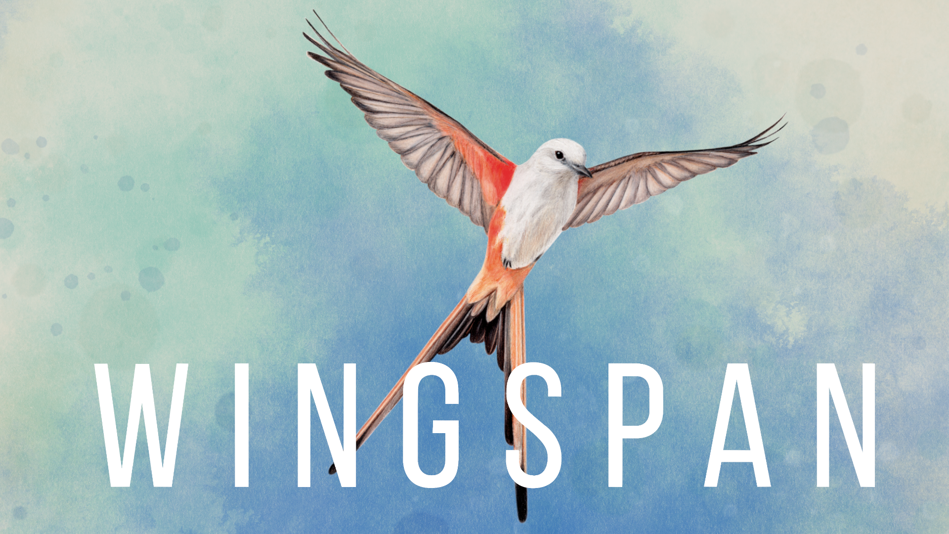 thumbnail video image 3 of Wingspan by Elizabeth Hargrave - A Relaxing Strategy Board Game About Birds, from Stonemaier Games, 3 of 11