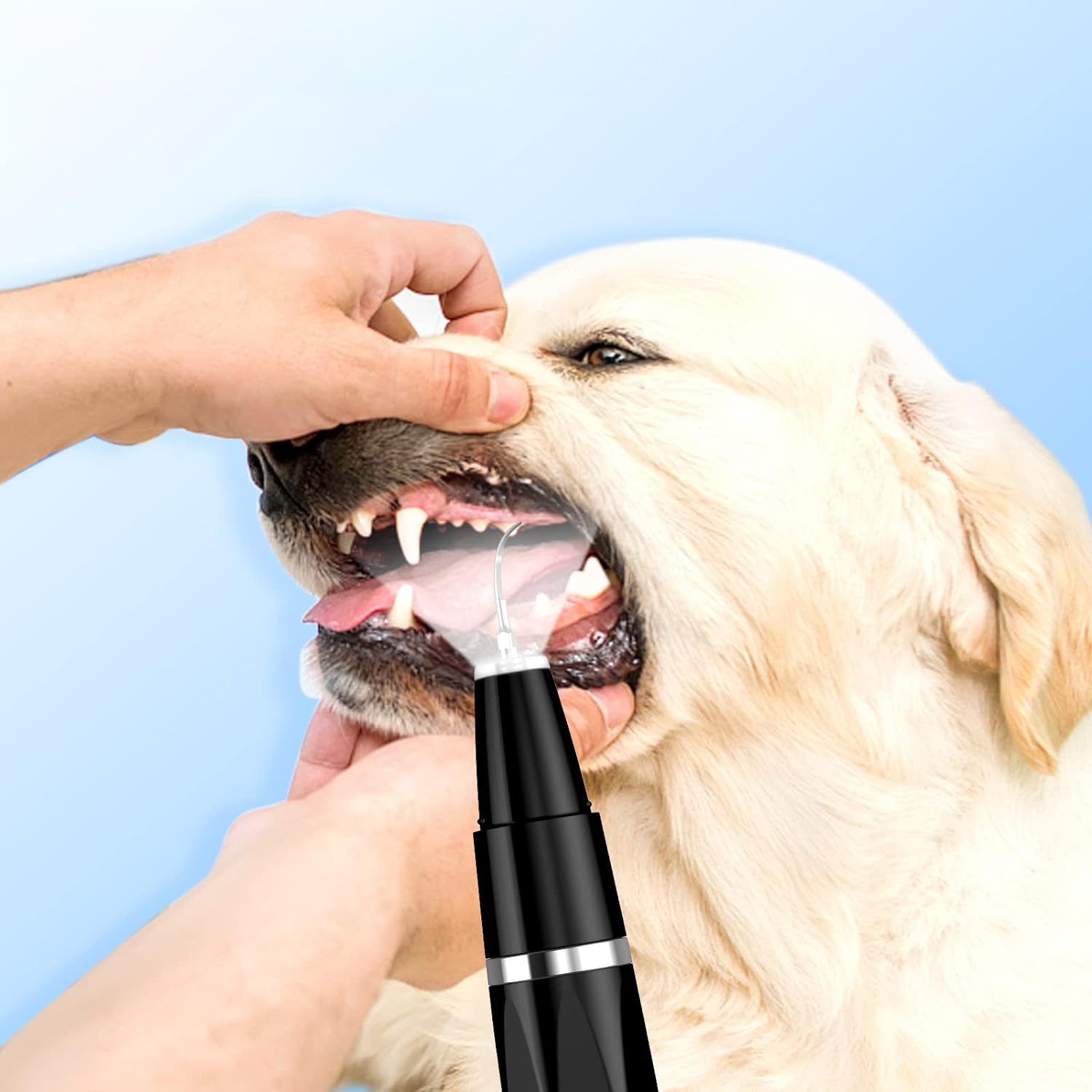 thumbnail video image 2 of Rizulfey Ultrasonic Dental Care Toothbrush Kit for Dogs & Cats, Black, 2 of 9