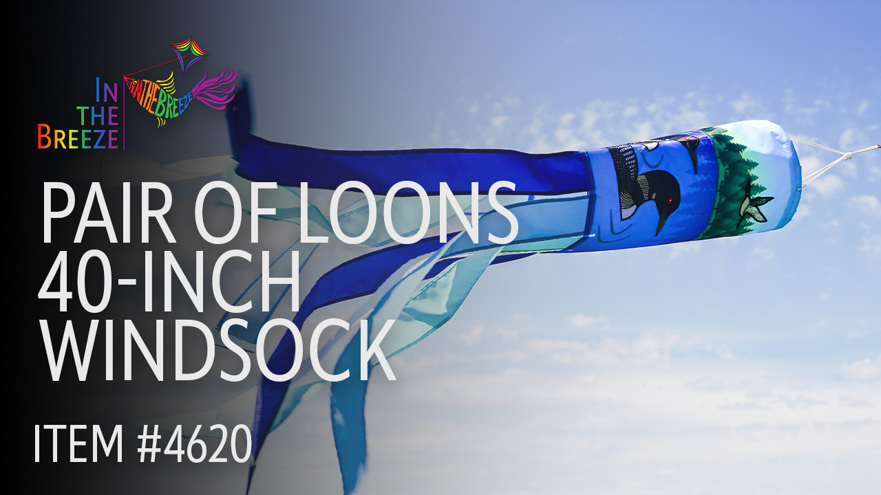 thumbnail video image 2 of In the Breeze 4620 — Pair of Loons Windsock 40-inch — Colorful Hanging Bird Outdoor Decor, 2 of 8