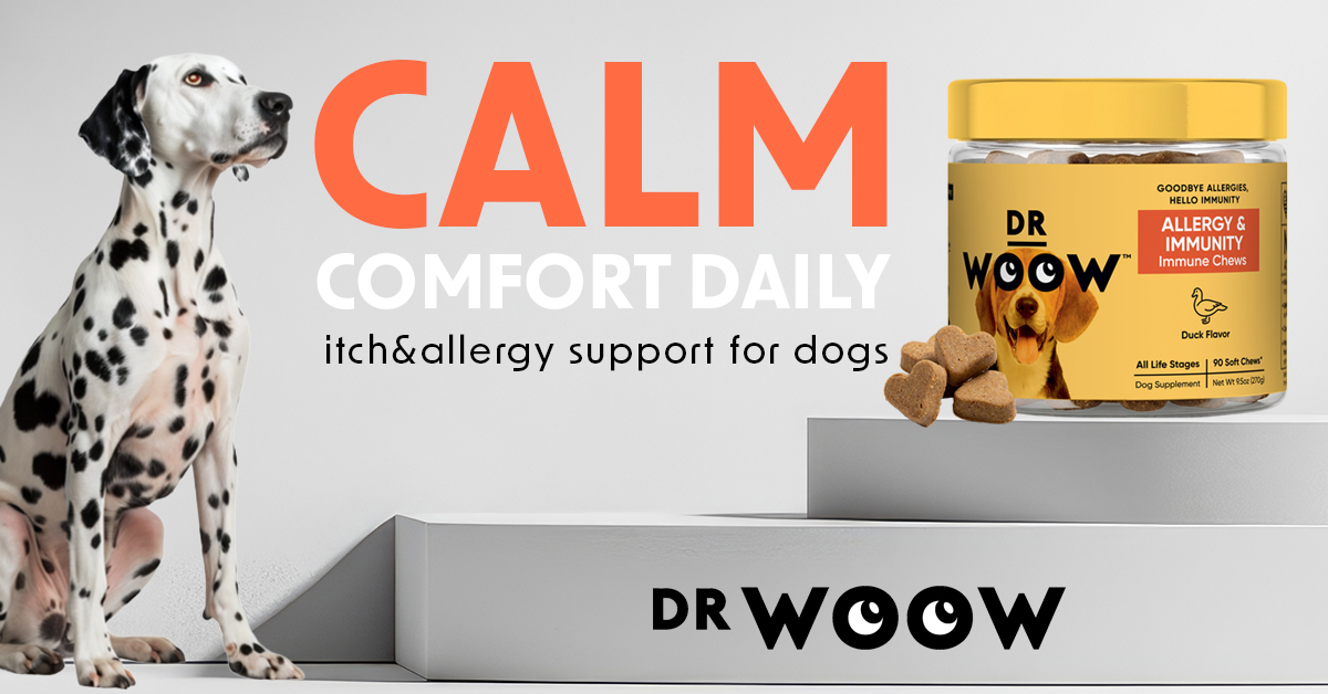 thumbnail video image 2 of Dr Woow Allergy & Immunity Immune Support Soft Chews, 2 of 11