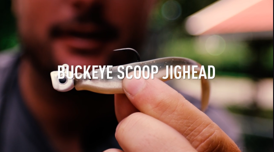 thumbnail video image 2 of Buckeye Lures Scoop Head 1/8oz Swimbait Jighead 2/0 Tennessee Shad, 2 of 5