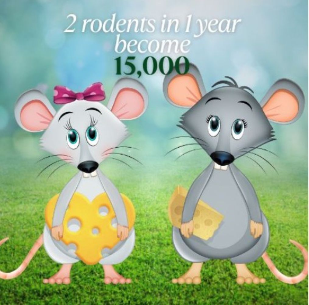 thumbnail video image 2 of Evolve Rat Birth Control 1.5 Lb Soft Bait Sausage, 2 of 12