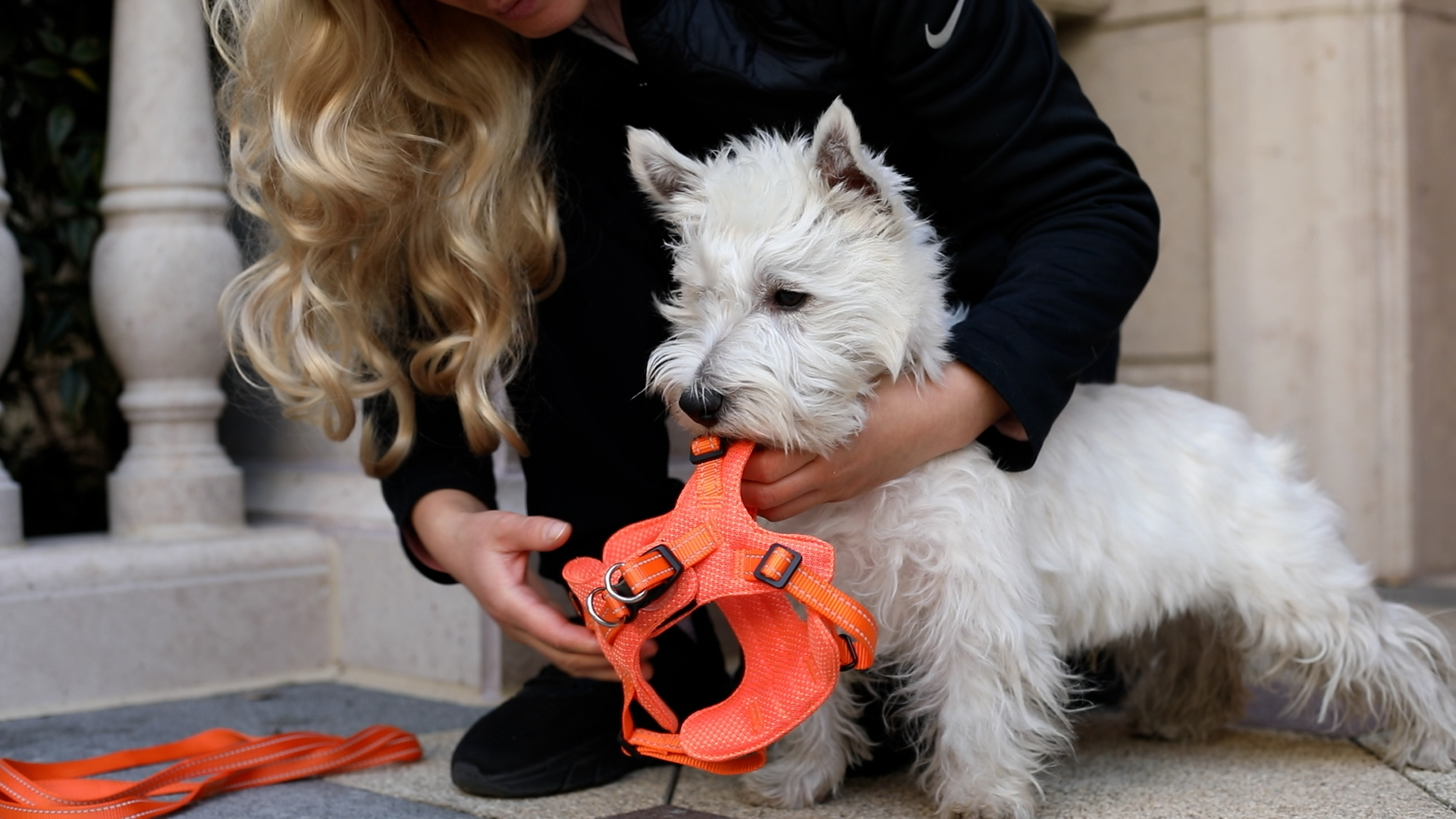 thumbnail video image 2 of Dog Harness Step in Dog Vest Harness, Reflective Adjustable Puppy No Pull Harness Breathable Soft for Small and Medium Dogs Cats, Ocean Blue, XXS, 2 of 11