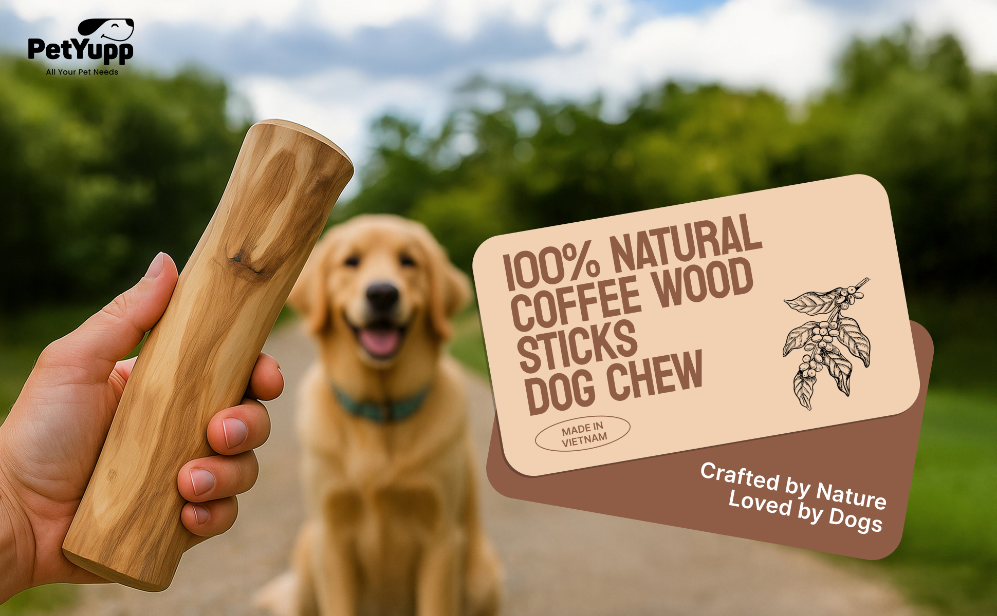 thumbnail video image 2 of PetYupp Natural Coffee Wood Dog Chew Sticks, Medium Size, Pack of 2 – Caffeine-Free Chew Toy, 2 of 6