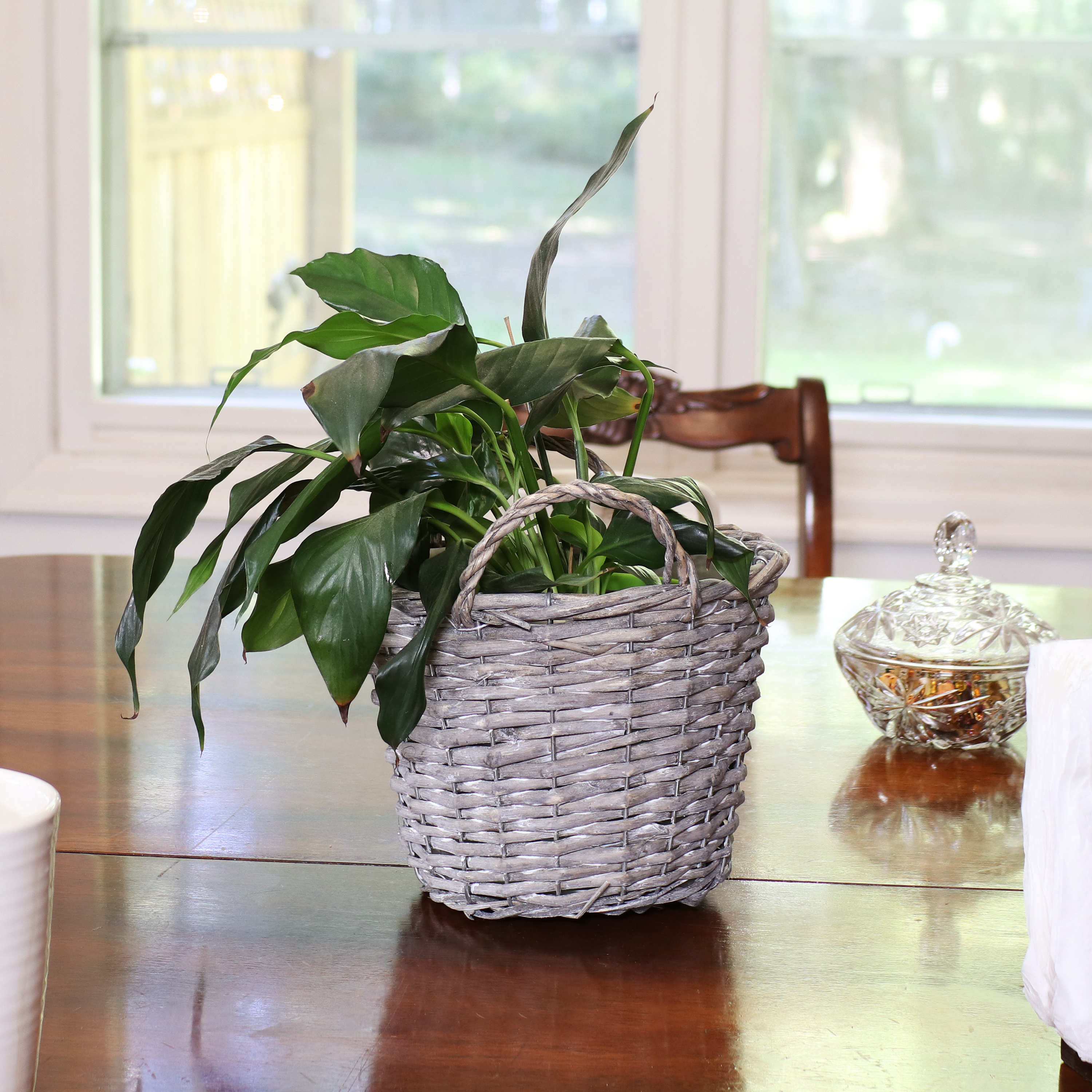 thumbnail video image 2 of Sunnydaze 8" x 8" x 8.75" Willow Wicker Indoor Planter Basket Set with Liners 5-Count, 2 of 9