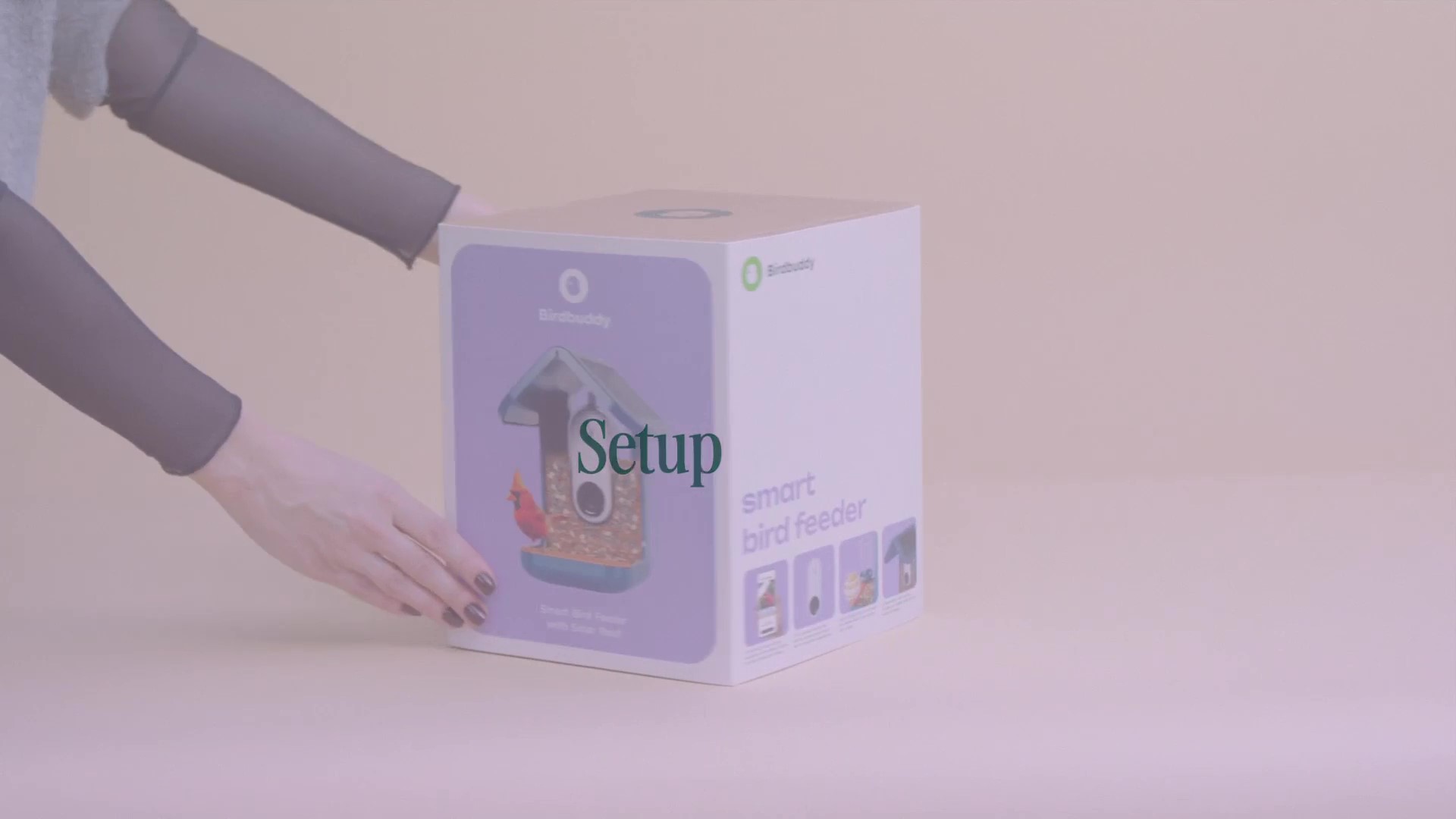 thumbnail video image 2 of Bird Buddy Non-Solar Smart Bird Feeder with Camera and AI Bird Species Identification, Blue, 2 of 9