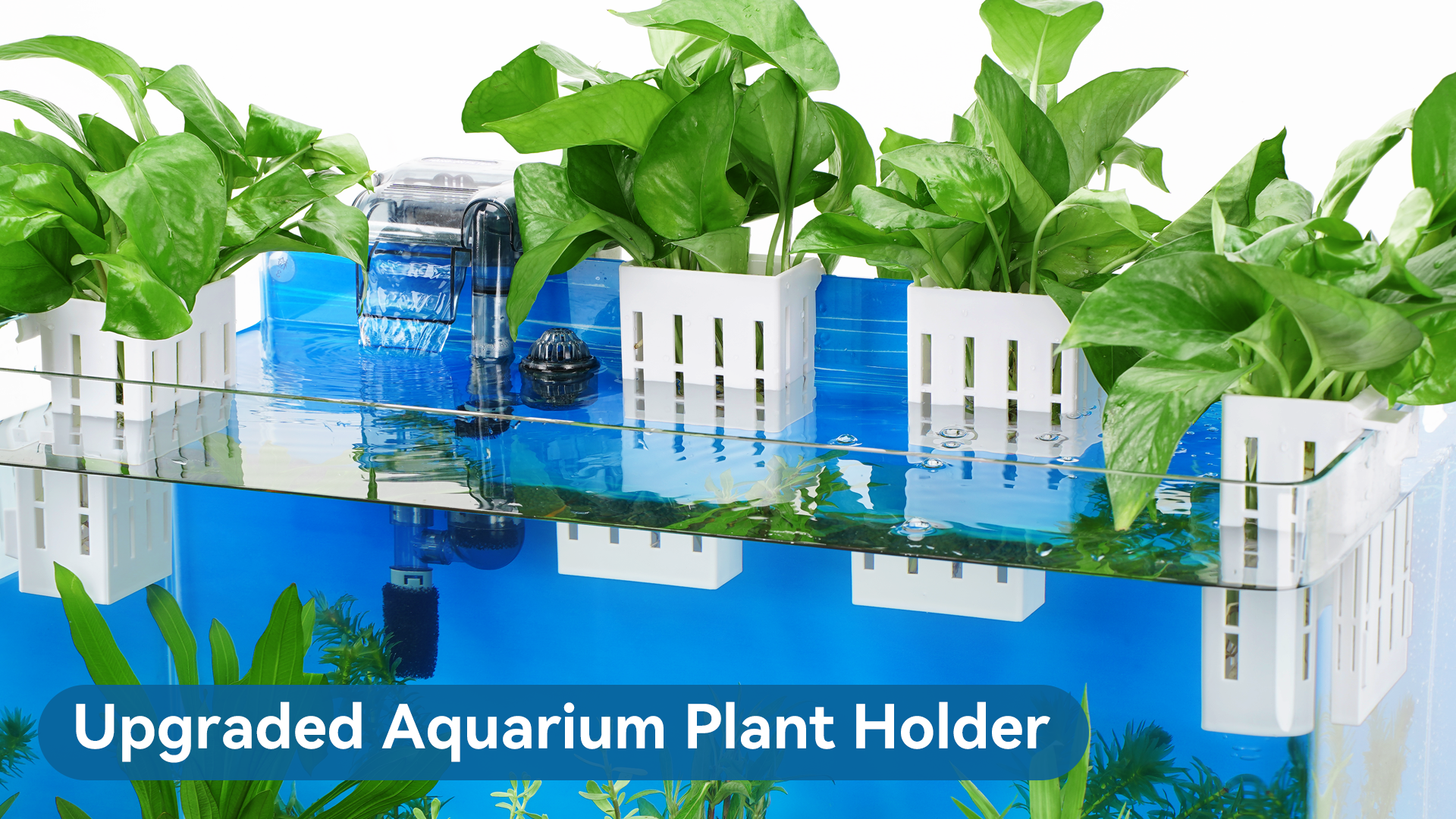 thumbnail video image 2 of Upgraded Aquarium Plant Holder with Hooks and Suction Cups for Fish Tank Aquaponic Plant Cultivation and Aquascape Decorations (White), 2 of 10